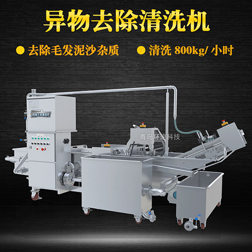 商用專業(yè)果蔬清洗機，氣泡清洗，清洗800kg小時