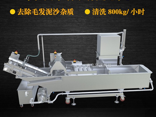 蔬菜清洗機(jī)，氣泡清洗，清洗800kg/小時